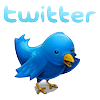 Twitter bird